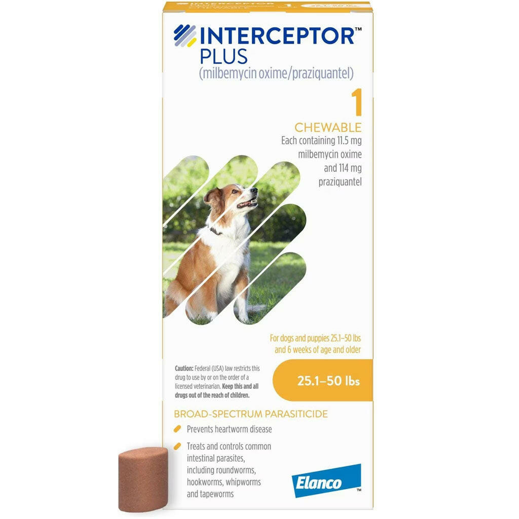 Interceptor Plus Chew for Dogs 25.1-50 lbs