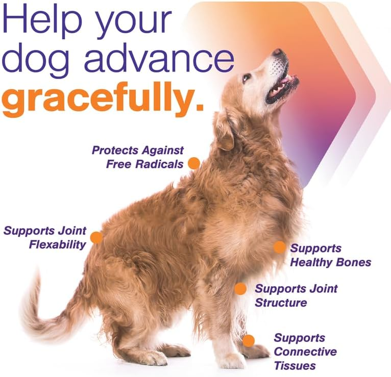 MovoFlex ADVANCED Joint Support for Medium Dogs (60 soft chews)