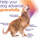 MovoFlex ADVANCED Joint Support for Small Dogs