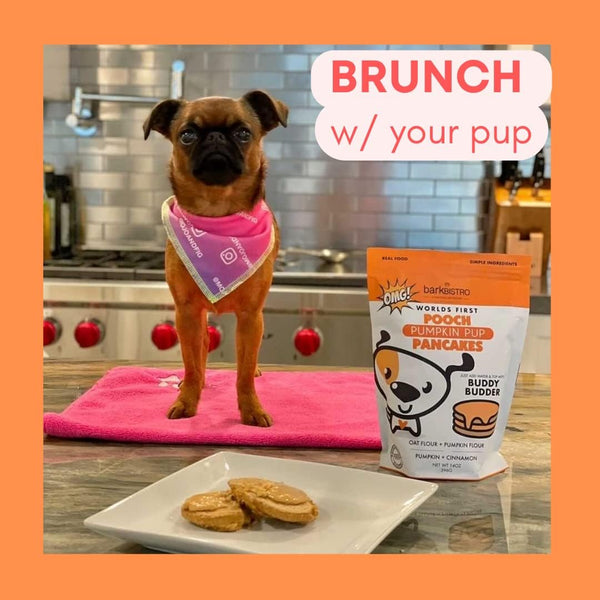 Bark Bistro Pooch Pumpkin Pup Pancakes for Dogs