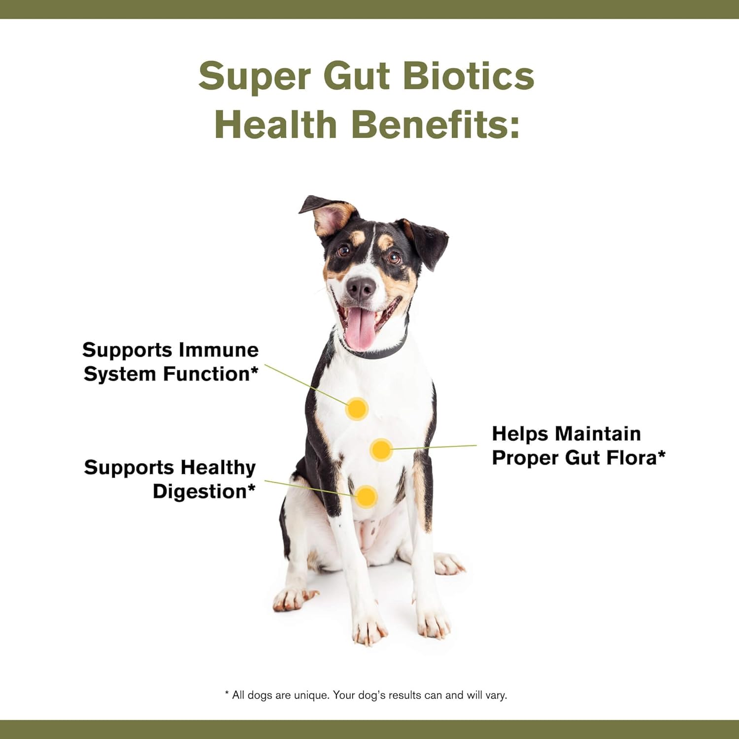 Badlands Ranch Super Gut Biotics Canine Health Supplement