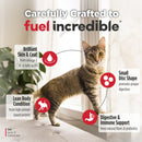 Cat standing on a carpet with text highlighting product features, including omega-3 fatty acids, small disc shape, lean body condition, and digestive support.