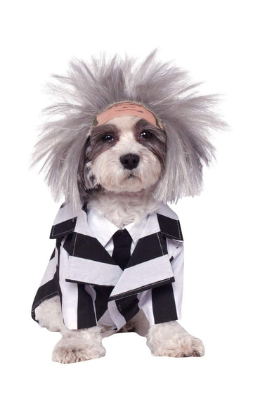 Pets Beetlejuice Costume
