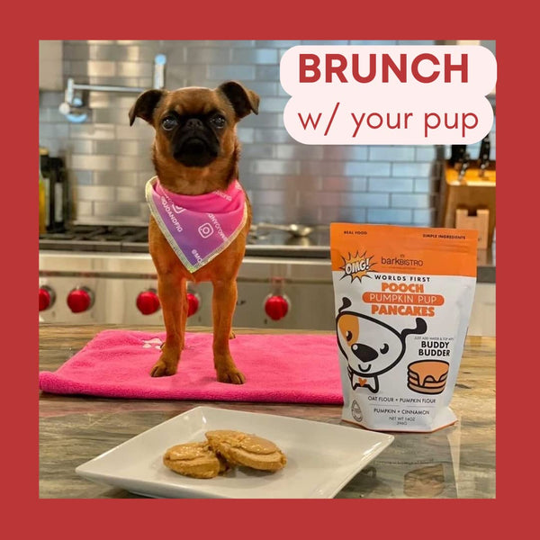 Bark Bistro Pooch Red Velvet Pancakes for Dogs