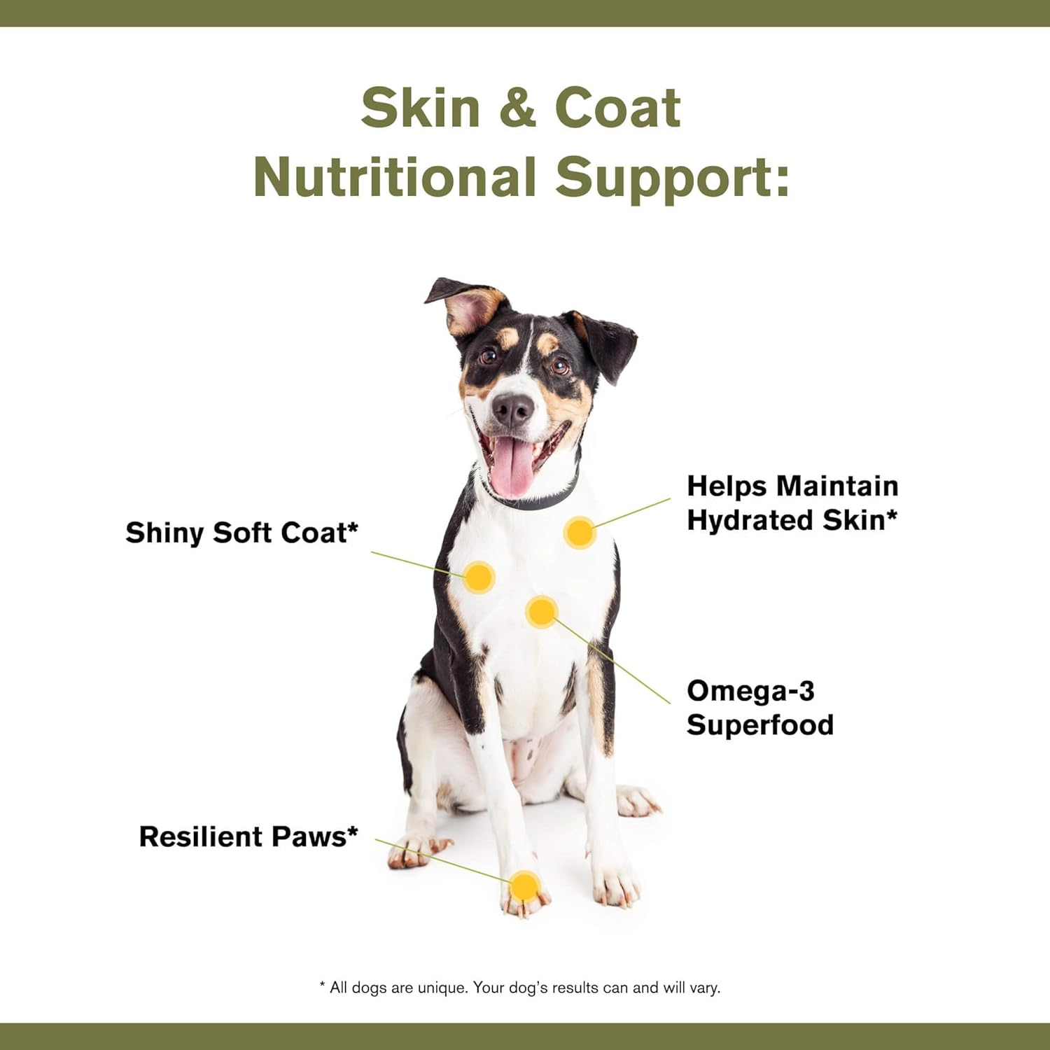 Badlands Ranch Skin & Coat Canine Supplement with Omega-3 Fatty Acids