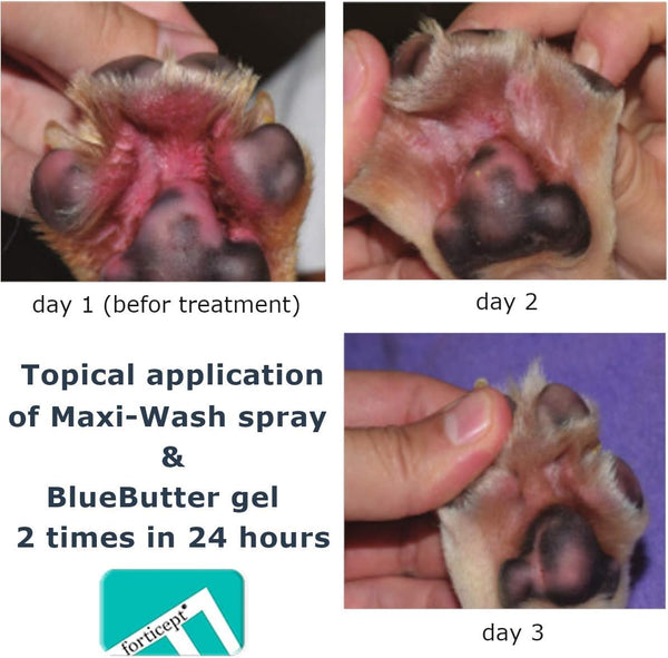 Forticept Maxi Wash Hot Spot Spray for Dogs & Cats