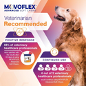 MovoFlex ADVANCED Joint Support for Large Dogs