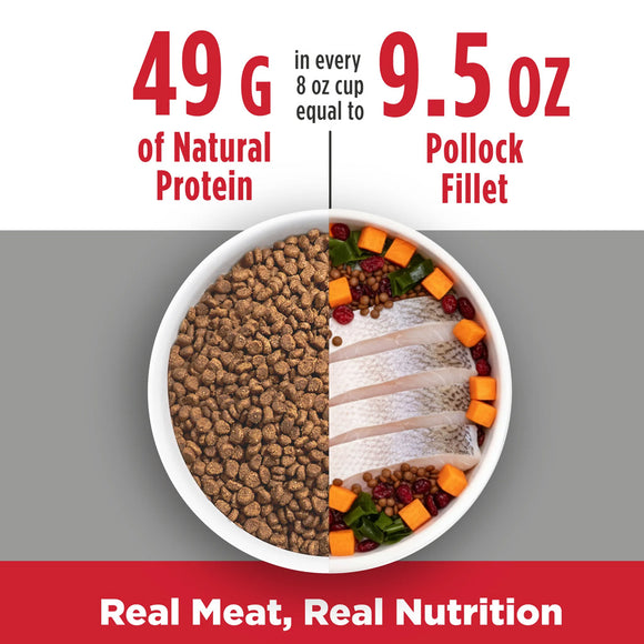 Dog food bowl with dry kibble and sliced fish, protein content text overlay.