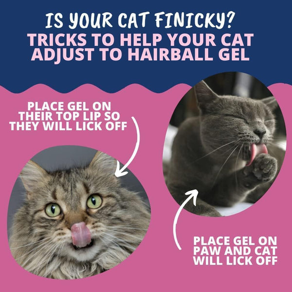 Under the Weather Hairball Gel for Cats