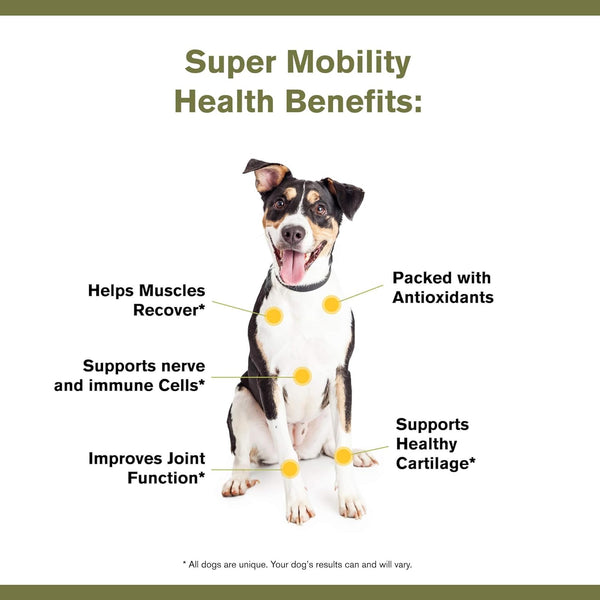 Badlands Ranch Super Mobility Canine Health Supplement