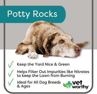 Vet Worthy Potty Rocks Lawn Burn Prevention Aid