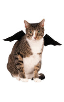 Pets Bat Wings Costume Accessory-1