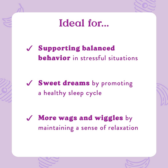 Bocce's Bakery Calming Supplement for Dogs (60 Soft Chews)