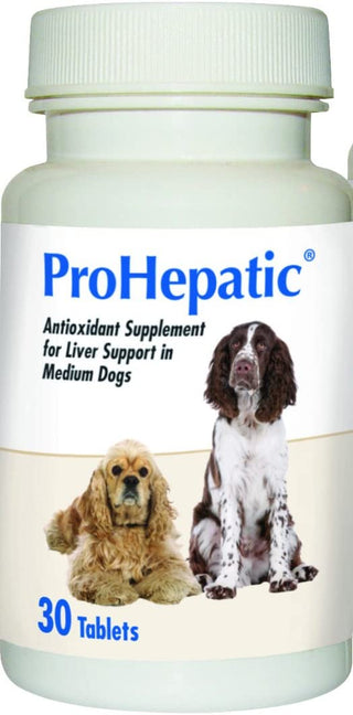 ProHepatic liver support supplement for dogs