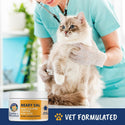 Under the Weather Ready Cal High Calorie Topper Savory Chicken Powder for Cats