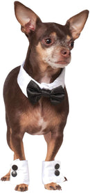 Pets Bowtie, Collar, and Cuff Accessory Set-1