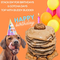 Bark Bistro Pooch Pumpkin Pup Pancakes for Dogs