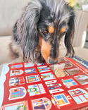 Spunky Pup Holiday 25-Day Advent Calender - 25 Days of Dog Treats