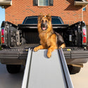 PetSafe Happy Ride Telescoping Dog Car Ramp