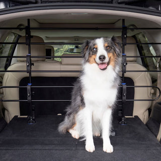 PetSafe Happy Ride Tubular Metal Dog Barrier