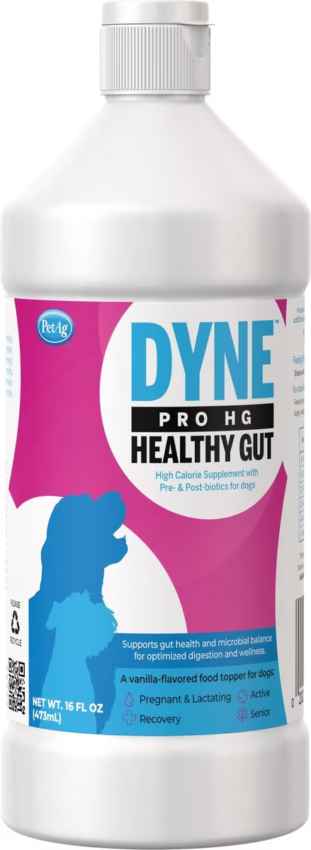 dyne healthy gut 