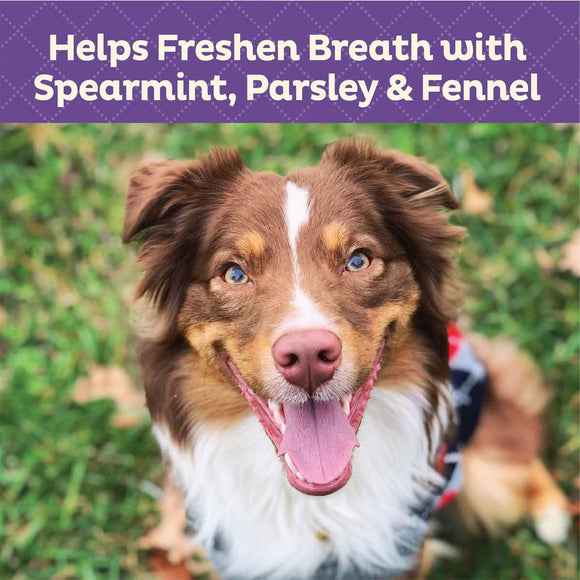 Old Mother Hubbard Minty Fresh Breath Oven Baked Dog Biscuits Treats