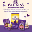 Old Mother Hubbard Minty Fresh Breath Oven Baked Dog Biscuits Treats