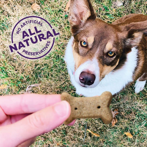 Old Mother Hubbard Minty Fresh Breath Oven Baked Dog Biscuits Treats