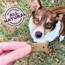 Old Mother Hubbard Savory Mix Mini Oven Baked Dog Biscuits Treats