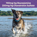 Old Mother Hubbard Hip & Joint Oven Baked Biscuits Dog Treats