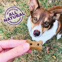 Old Mother Hubbard Grain-Free Mini P-Nuttier 'N Nanners Peanut Butter & Banana Flavored Dog Treats