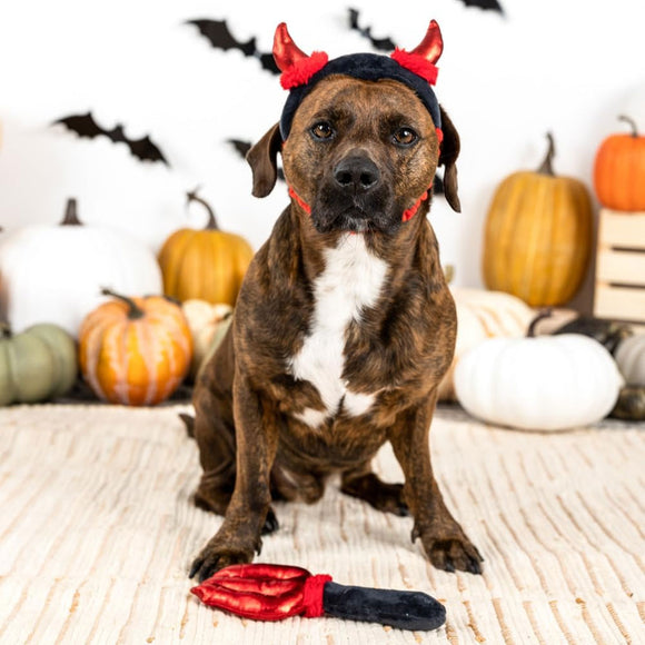 Dog wearing a Halloween costume with devil horns and tail in front of pumpkins and bats.