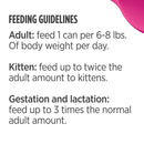 Feeding guidelines for adult and kitten on a white background
