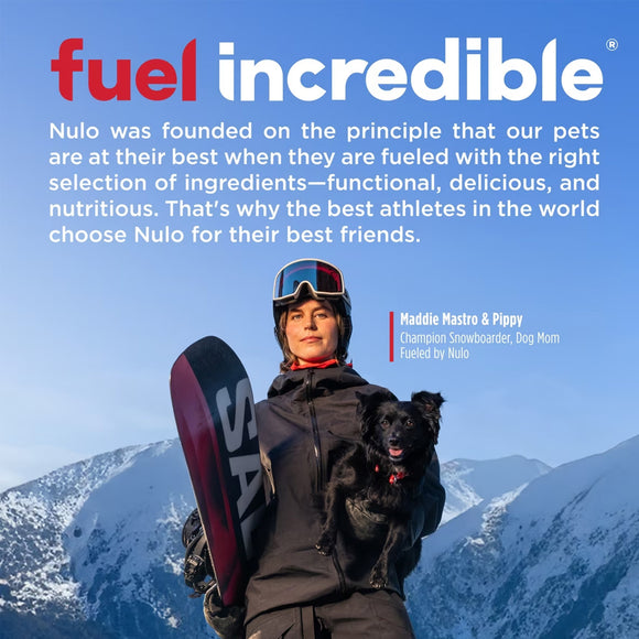 Person holding a dog with a mountainous background and Nulo pet food branding.