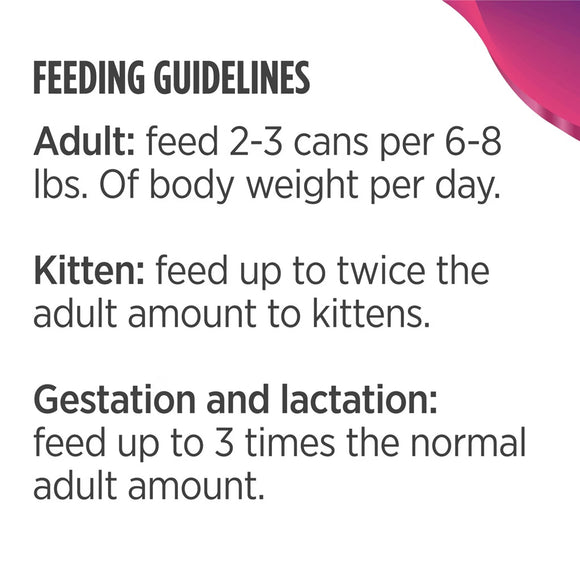 Feeding guidelines for adult and kitten pets on a white background