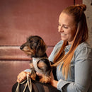Woman holding a small dog in her arms with a warm background