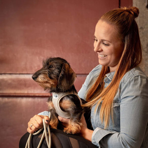 Woman holding a small dog in her arms with a warm background