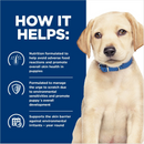 Hill's Prescription Diet Derm Complete Puppy Environmental/Food Sensitivities Rice & Egg Recipe Dry Dog Food 