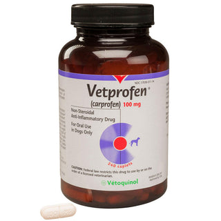 vetprofen carprofen