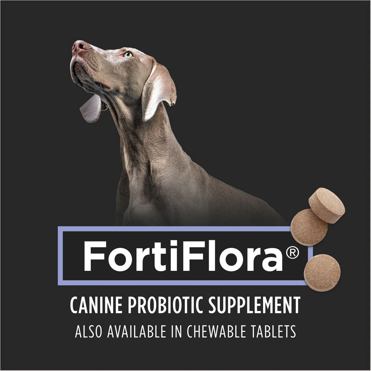 purina fortiflora canine