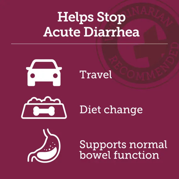 Vetality Stop the Runs Anti Diarrhea Medication for Dogs (6 chewable tablets)