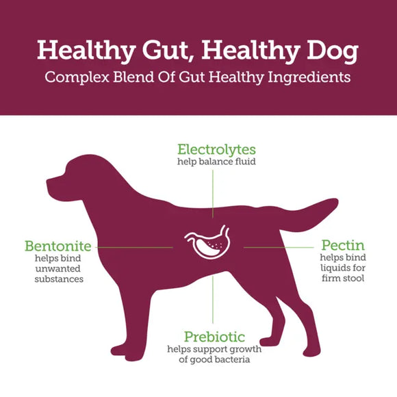 Vetality Stop the Runs Anti Diarrhea Medication for Dogs (6 chewable tablets)