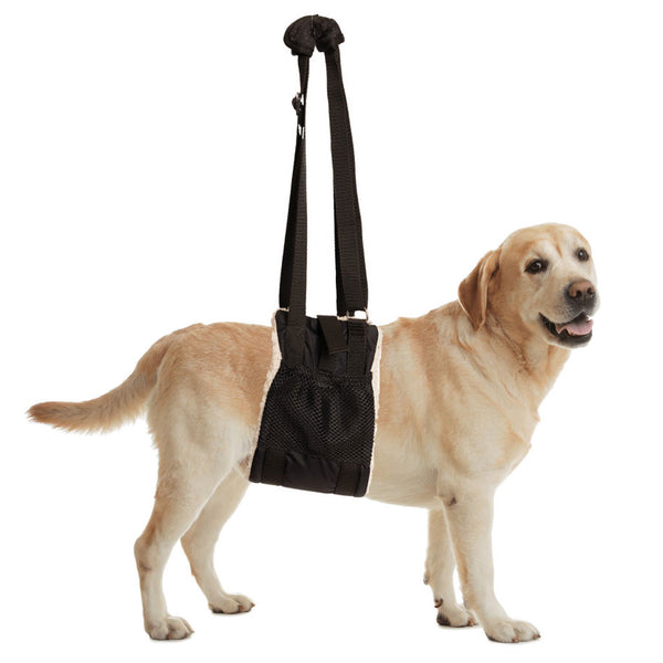 ZenPet Buddy Lift Canine Support & Rehabilitation Sling for Dogs