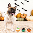 Dog sitting in front of pumpkins with Halloween-themed dog toys on a wooden floor.