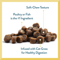 Pet Greens Cat Craves Semi-Moist Salmon Soft Treats For Cats (3 oz)