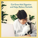 Pet Greens Cat Craves Semi-Moist Salmon Soft Treats For Cats (3 oz)-3