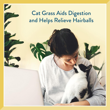 Pet Greens Cat Craves Semi-Moist Chicken Soft Treats For Cats (3 oz) - 0