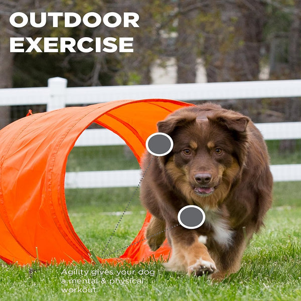 Outward Hound Zip and Zoom Agility Kit For Dogs Outdoor (34 pc)