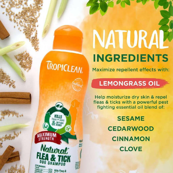 Tropiclean Natural Flea & Tick Shampoo Maximum Strength For Dogs