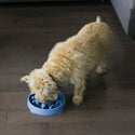 Outward Hound Fun Feeder Slo Bowl Slow Feeder Bowl Blue For Dog (Medium / Mini)